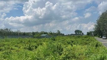 CTY ĐẤU GIÁ HỢP DANH TRỰC TUYẾN VIỆT NAM (VNOA) TỔ CHỨC ĐẤU GIÁ