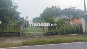 Bán 3977m2 Phú Mỹ Hưng, Củ Chi thửa 959