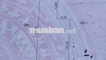 Giá rẻ đất Tân Phong, Thạnh Phú, Bến Tre 507m2. giá 350 triệu HH 3%