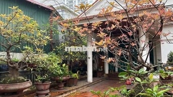 SIÊU HIẾM ÂU CƠ TÂY HỒ 315M2 119,8 Tỷ