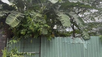 Bán đất MTKD đường Số KDC Nam Hùng Vương Bình Tân, lề 2.5m, DT 4.5×20m