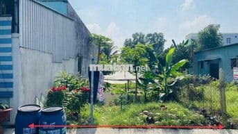 ĐẤT MT ĐƯỜNG TT CỦ CHI 338M2 FULL TC SHR CHỦ NGỘP BÁN GẤP 830TR CÒN TL