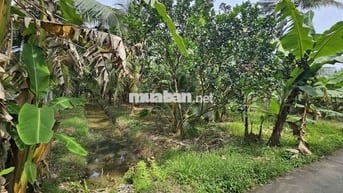 Đất vườn nghỉ dưỡng Phú Khương mới 3,6 công