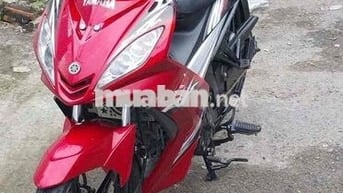 ex 135 zin xuống áo