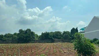 CÔNG TY ĐẤU GIÁ HỢP DANH MINH PHÁP THÔNG BÁO ĐẤU GIÁ TÀI SẢN