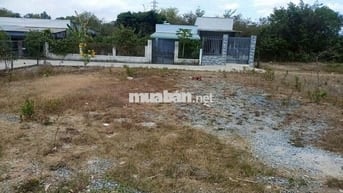 BÁN ĐẤT Chính Chủ 250m2 1ty799 TL SỔ SẴN SANG TÊN CÔNG CHỨNG NGAY