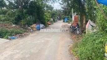 chính chủ bán nhà xưởng nhi Bình (5x50 ) fun thổ giá 5 ty 7