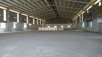 Cho thuê nhà xưởng 3000m Thuận An