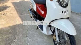 Cần mua vison giấy khu vực Long Xuyên An Giang