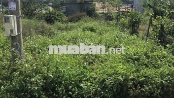 Đất sổ đỏ 137m2, Đà Lâm, Đà Loan, Đức Trọng, Lâm Đồng