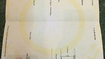 Khu đồng dộc thủy nguyên ( ngay ngã tư núi đèo cũ ) 