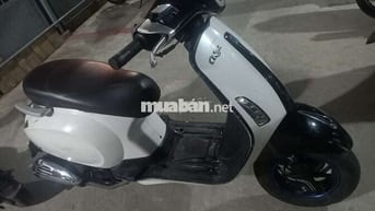 Nioshiwa 50cc 2023 Trắng đen