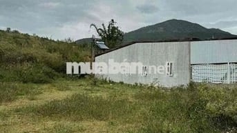 Đất chính chủ gần chợ Phi Nôm 137m vuong