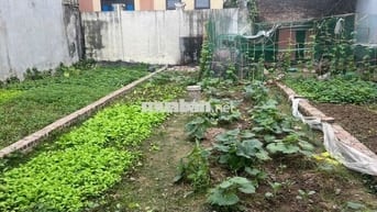 👉 HIẾM – ĐẤT VUÔNG 46.8m2 Thôn Đông Bầu Thiên Lộc, Đông Anh – 3.8 Tỷ