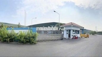 CHO  THUÊ  KHO  XƯỞNG ( 6000 m2) KCN. NHỊ XUÂN,  HUYỆN  HÓC  MÔN