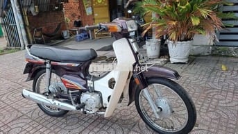 SANDA BOSS BOSS C50 2020 Nâu