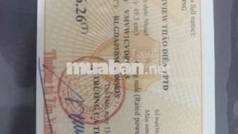 bán xe SWM - SHARK 50Cc