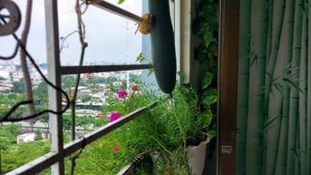 Anh cần cho thuê Cc Cửu long 2PN-2WC nội thất đủ giá 9 triệu 