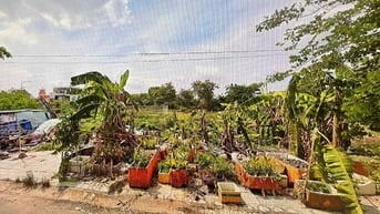 bán đất khu 1, thạnh mỹ lợi, quận 2, thủ đức. 6m x 17,m = 105m, đ12m