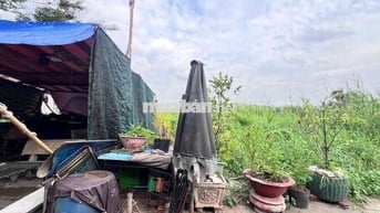 Chính Chủ Bán Đất Ấp 2 hữu Thạnh đối diện Ecity Tân Đức 1/ DT824