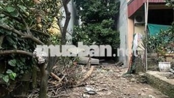 Đất Hiếm đầu tư -  pháp lý rõ ràng- Nở Hậu ô tô đỗ cửa - Chủ thiện chí