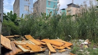 Đất nền khu dân cư chợ đầu mối Bình Điền