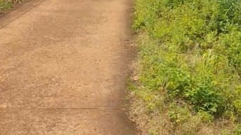 CƠ HỘI SỞ HỮU 3 LÔ ĐẤT ĐẸP TẠI ĐỒNG TÂM – ĐỒNG PHÚ