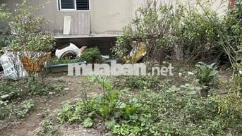 đất lành long biên giá cực tốt - mua ở hay đầu tư rất ok