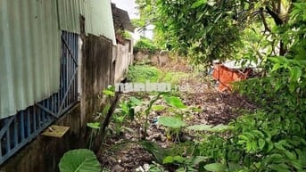 Bán đất mặt tiền đg Nguyễn Thị Đặng Tân Thạnh Đông huyện Củ Chi (cũ)