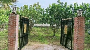 🌳 BÁN ĐẤT 2100m2 GIÁ 452TR TẠI MINH HƯNG – CHƠN THÀNH🌳