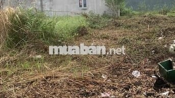 Bán đất khu dân cư Mỹ Hạnh Hoàng Gia.