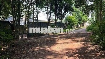 Phải rất rất nhanh 31ty hạ sốc bán gấp 23 tỷ  thật 100% ạ