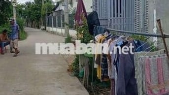 Bán đất Ấp Mới 2, đường Gò Hưu, xã Mỹ Hạnh Nam, Long An.