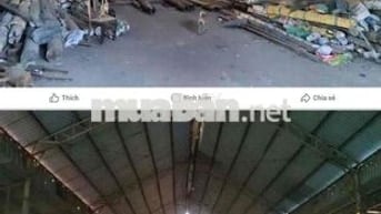 CHO THUÊ KHO AN ĐIỀN BẾN CÁT BÌNH DƯƠNG   💥💥 DT : 1000m2 ĐƯỜNG LỚN XE