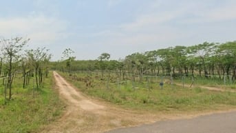 Đường DH504, Xã Phước Sang, Huyện Phú Giáo, Bình Dương