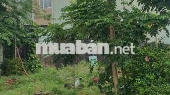 Đồng Cửa 4 Đường 10m5 lề 4m5 , Hướng Đông Nam Sạch Đẹp