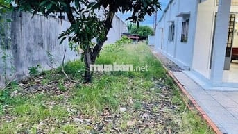 🧲 Đầu Tư Siêu Lợi Nhuận – Đất Tân Thông Hội, Sổ Sẵn, Giá Hời