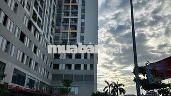 BÁN NHÀ CŨ BÙI MINH TRỰC - HẺM XE HƠI - 64M2 ( 4M X 16M ) - NHỈNH 6 TỶ