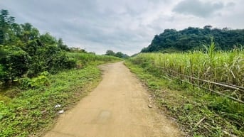 cần bán lô đất trồng cây hàng năm tổng dt 2675,8m2 giá bán 386tr 