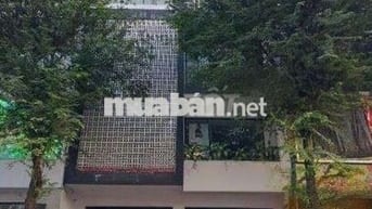 Cho Thuê Nhà Trung Tâm Q10. Phù Hợp Nhà hàng. Quán ăn