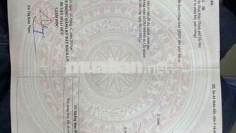 CẦN TIỀN BÁN GẤP NHÀ CẤP 4 ĐỨC THƯỢNG HOÀI ĐỨC HÀ NỘI