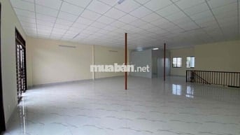 cho thuê nhà xưởng mới sạch đẹp