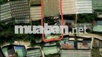 cần bán đất mặt tiền đường nhựa Huỳnh Tấn Phát