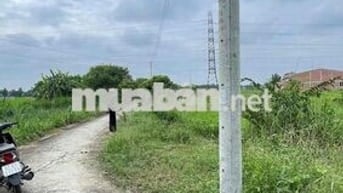 Chính chủ bán sỉ lẻ 5 lô đất Phường 5, Tân An