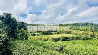 Chính chủ bán đất  view điện gió săn mây Cầu Đất nét 2 tỷ 5 - 855m