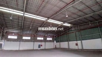 Kho đẹp cần cho thuê gấp diện tích 500m2 ở Đường Đào Trí đường cont
