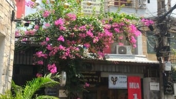 Bán nhà  HXH TRẦN QUANG KHẢi, P.Tân Định, Q.1_DT:4x15m, 3 Tầng.