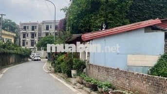 Chính chủ bán đất có sổ- 100m2( chia 2 sổ đỏ)- Không qua môi giới.