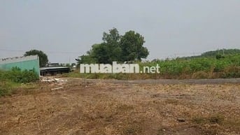 Bán đất vườn kcn Đất Đỏ. Dt 1800m2 có 80m mặt tiền giá chỉ 1,65 tỷ