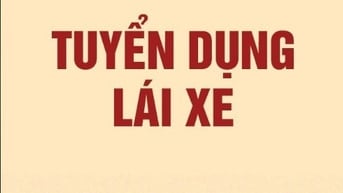 Cần tuyển lái xe quanh khu vực Nghi Tàm, phường Hồng Hà - Hà Nội